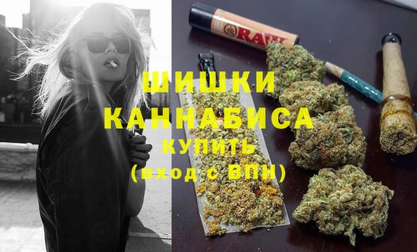 сатива Елабуга