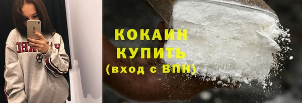 индика Армянск