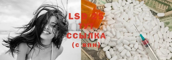 индика Армянск