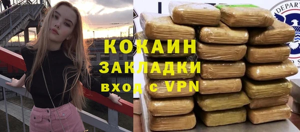 индика Армянск
