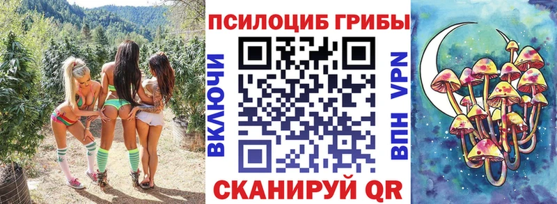 что такое наркотик  Светлоград  ОМГ ОМГ ONION  Псилоцибиновые грибы ЛСД 