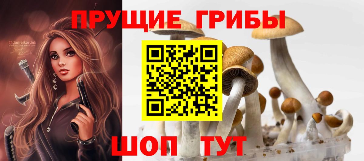 Светлоград  Псилоцибиновые грибы Psilocybine cubensis  Вход с VPN  Галлюциногенные грибы Magic Shrooms 