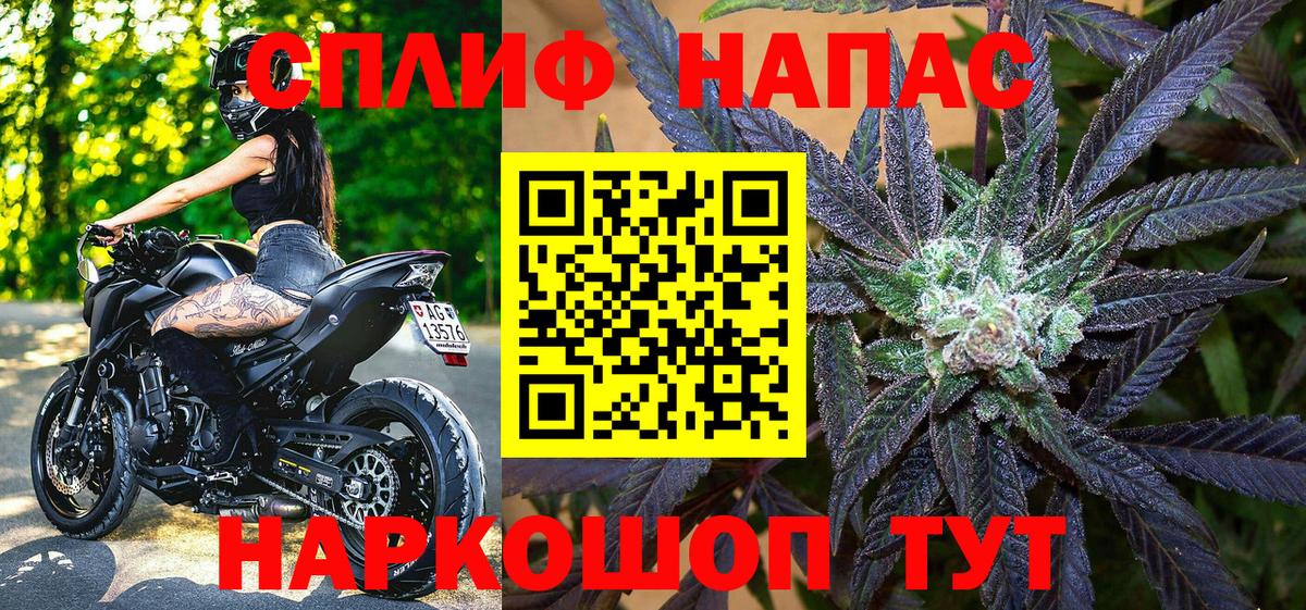 МАРИХУАНА план  Шишки марихуана VHQ  Светлоград  Вход с VPN  Канабис сатива  Конопля LSD WEED 